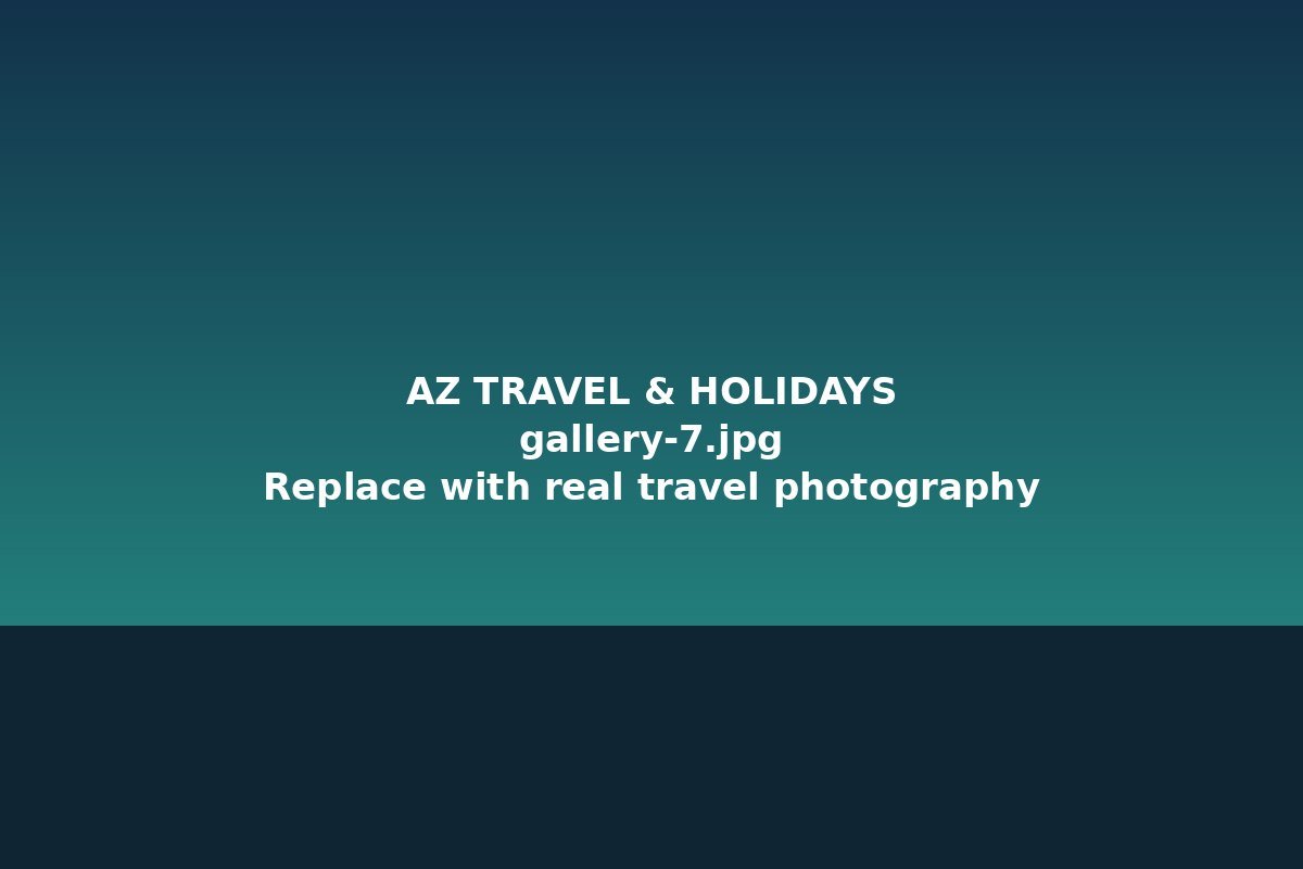 Airport transfer demo
